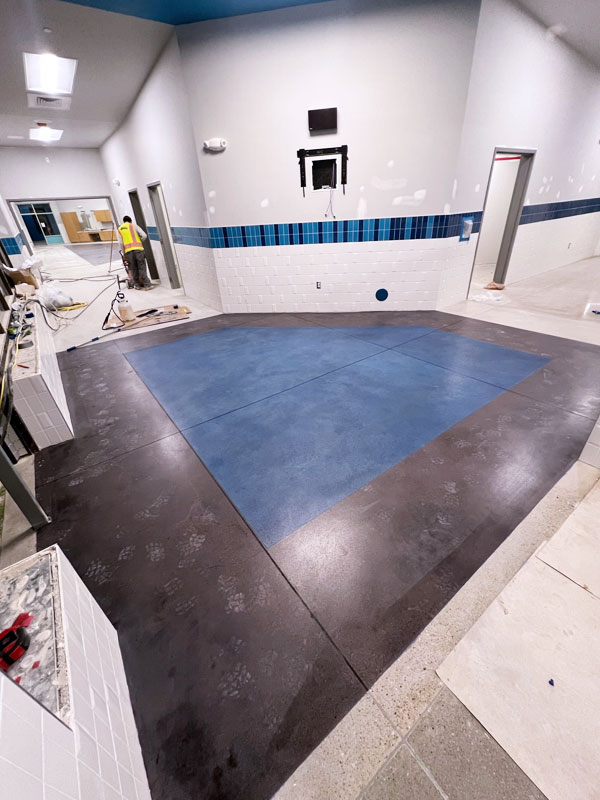 Polish 'N Epoxy | Services